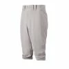 Mizuno Premier Short Pant -Baseballism shop mizuno mizuno premier short pant