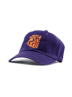 State Forty-Eight State Forty Eight Dad Hat | Purple & Orange